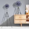 10000mAh Rechargeable 8'' Battery Powered Pedestal Fan