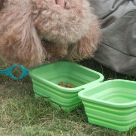 Silicone Collapsible Pet Bowl Double With Aluminum Hook Clip (Bowl Color: Green)