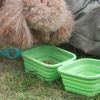 Silicone Collapsible Pet Bowl Double With Aluminum Hook Clip